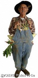 Farmer having fun with corn
