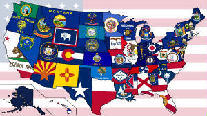 50statesflagmap.jpg