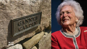 barbarabush-gannysgarden.jpg