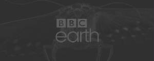 bbcearth.jpg