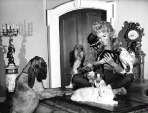 beverlyhillbillies-elliemaesittingwithanimalfriends.jpg
