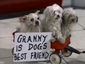 beverlyhillbillies-grannyisdogsbestfriend.jpg