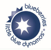 blueberryushighbosh.jpg