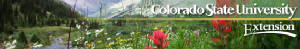 coloradostateuextensionbanner.jpg