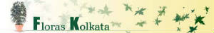 florakolkatabanner.jpg