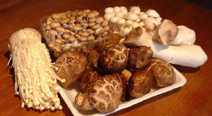 fungus-asianmushrooms.jpg