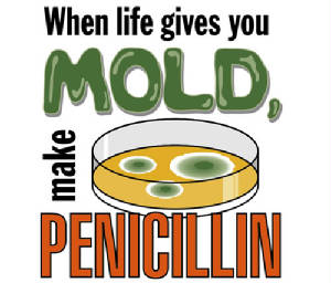 fungus-lifegivemoldmakepenicillin.jpg