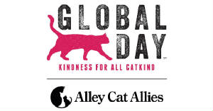 globalcatdayoctober16th.jpg