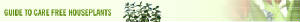 houseplantguide.jpg