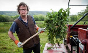 hughfearnley-whittingstallrooting.jpg