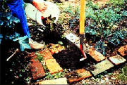 kitchenwastecomposting.jpg