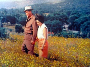 ladybirdandlyndonamidstwildflowers.jpg