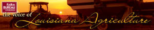 louisianafarmbureaufederationbanner.jpg