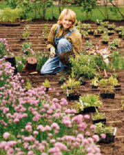marthastewart-turkeyhillhouse.jpg