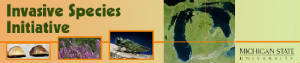michigansuinvasivespeciesinitiative.jpg