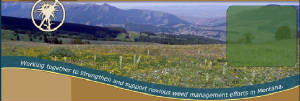 montanaweedcontrolbanner.jpg