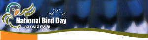 nationalbirddayjanuary5th.jpg