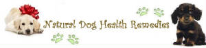 naturaldoghealthremedieslogo.jpg
