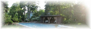 outdoorlandscapingideascombanner.jpg