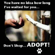 petdontshopadopt.jpg