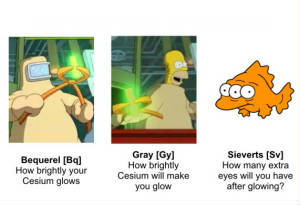 simpsonsguidetoradiation.jpg