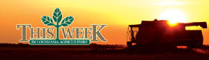 thisweeklouisianaagriculture.jpg