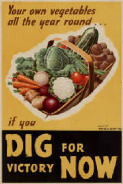 victorygarden-digforvictorynow-yearround.jpg