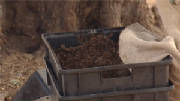 wormfarmgarden.jpg