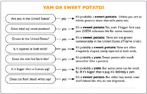 yamorsweetpotato.jpg