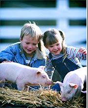 arkansasagricultureclassroom.jpg