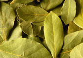 bayleaves.jpg