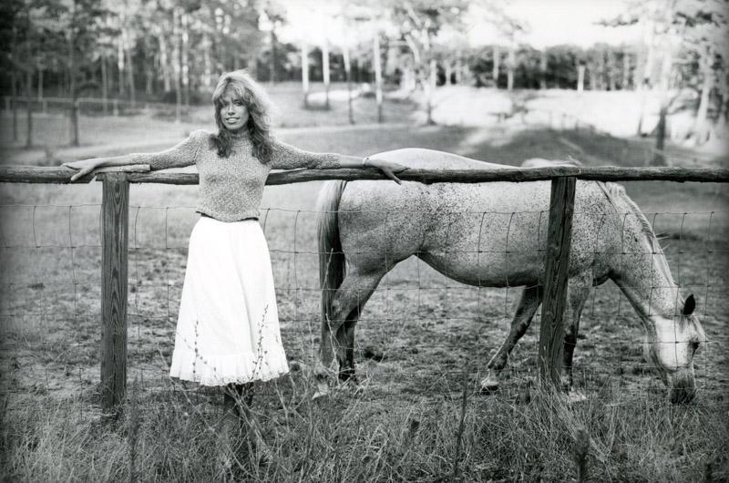 carlysimonhorse.jpg