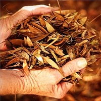 compostautumnleaveshands.jpg