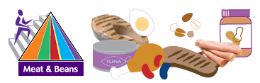 foodpyramidbeanmeat.gif