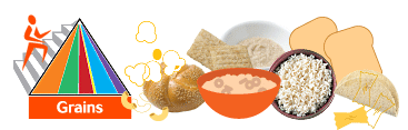 foodpyramidgrain.gif