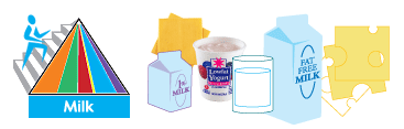 foodpyramidmilk.gif