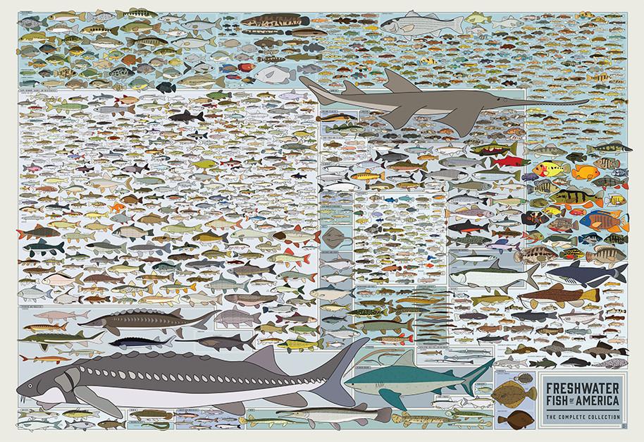freshwaterfishofamerica.jpg
