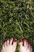 grassfeet.jpg