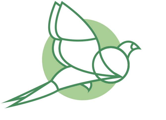 greatersage-grousealbertawildernessassociation.jpg