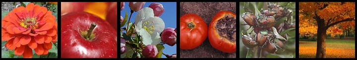 horticulturebannerbaruofil.jpg