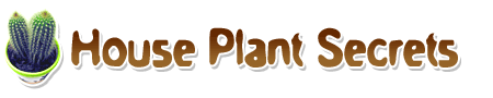 houseplantsecrets.gif