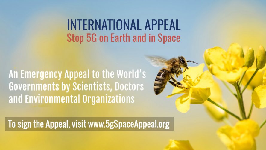 internationalappealtostop5gradiation.jpg