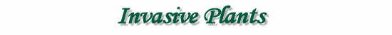 invasiveplants.gif