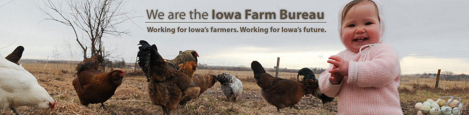 iowafarmbureaubanner.jpeg