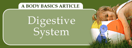 kidshealthdigestivesystem.gif
