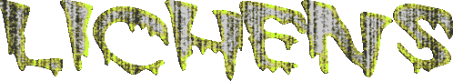 lichensbackyardnature.gif