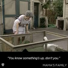 mamasfamilygoose.jpg