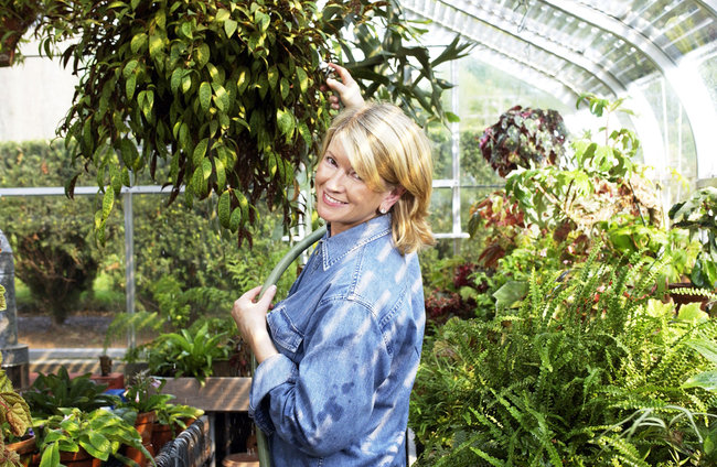marthastewart-greenhouse.jpg