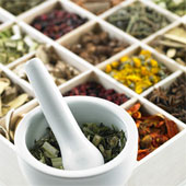 medicinalplantsvarious.jpg