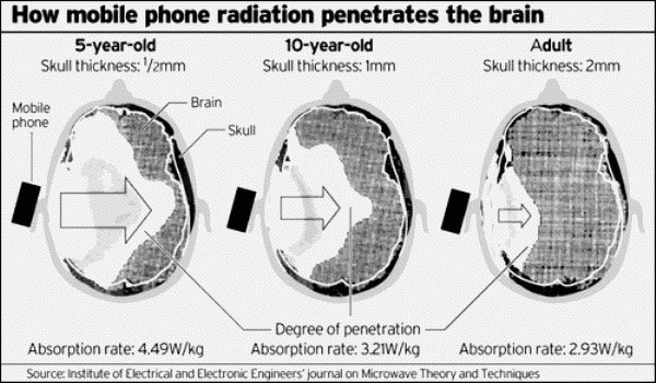 microwavecelltelephoneabsorption.jpg